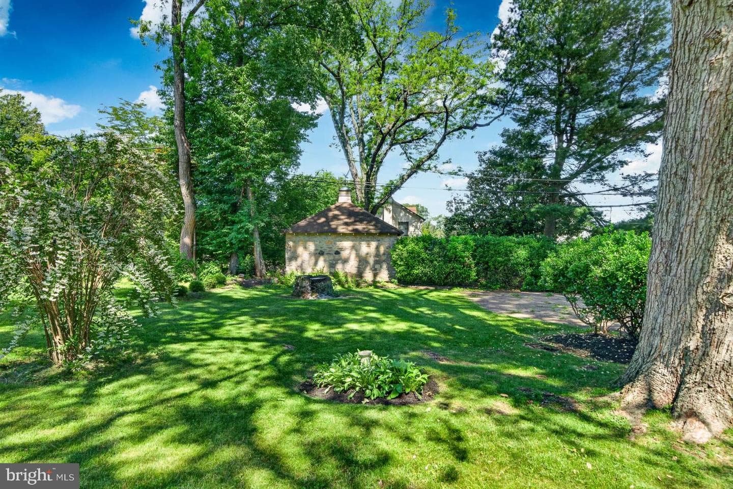 89 Saxer Avenue photo 22