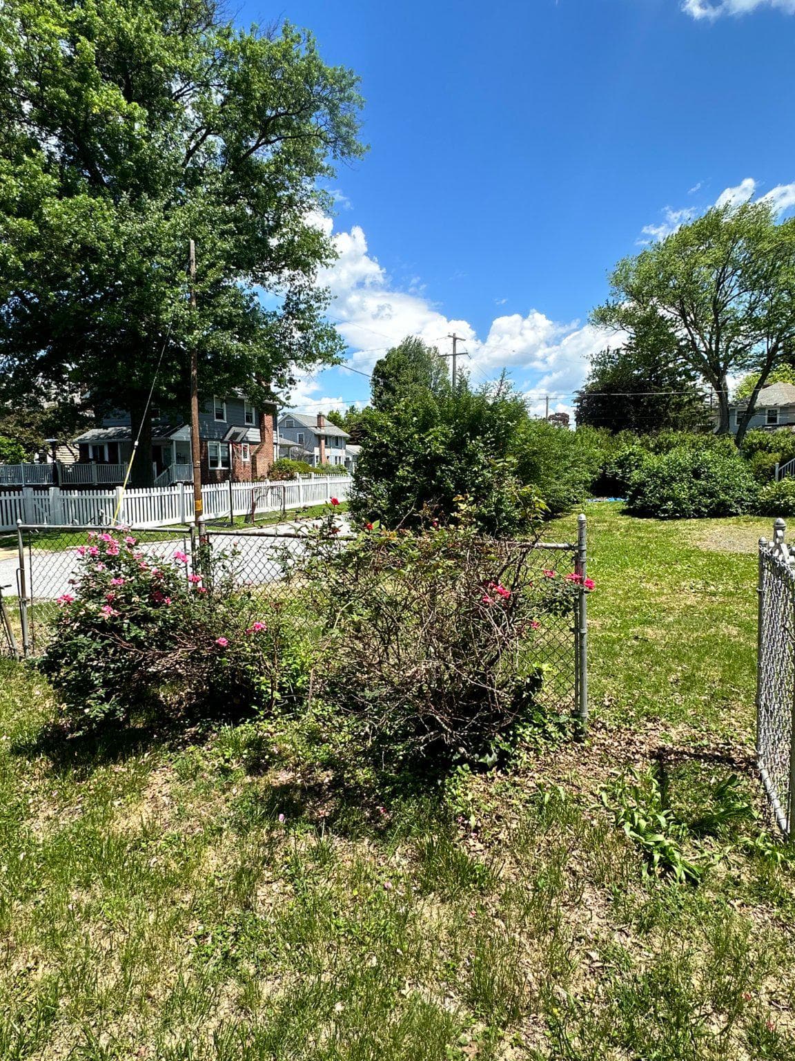 1914 Belvedere Avenue photo 6