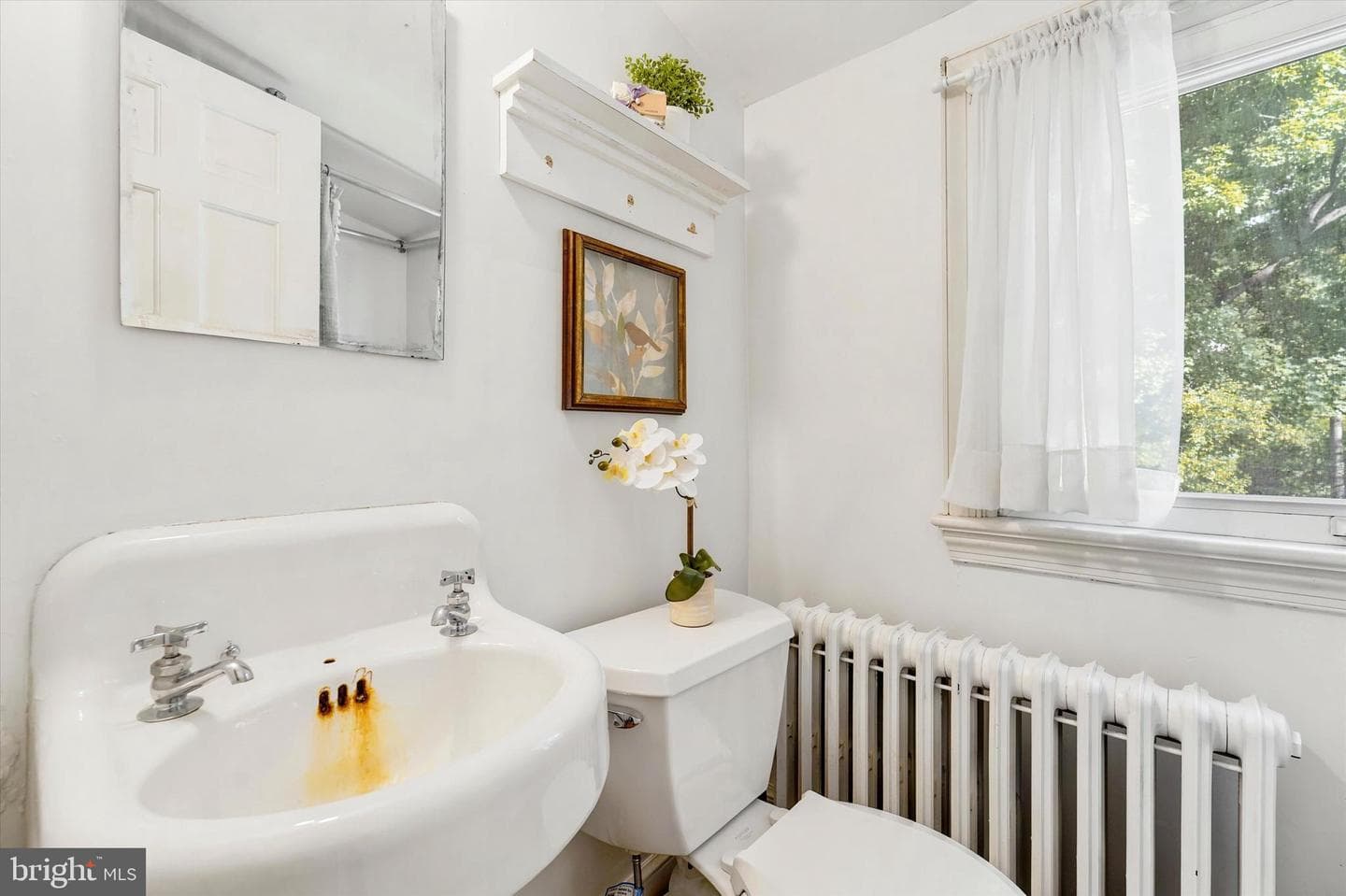 570 Strathmore Road photo 27
