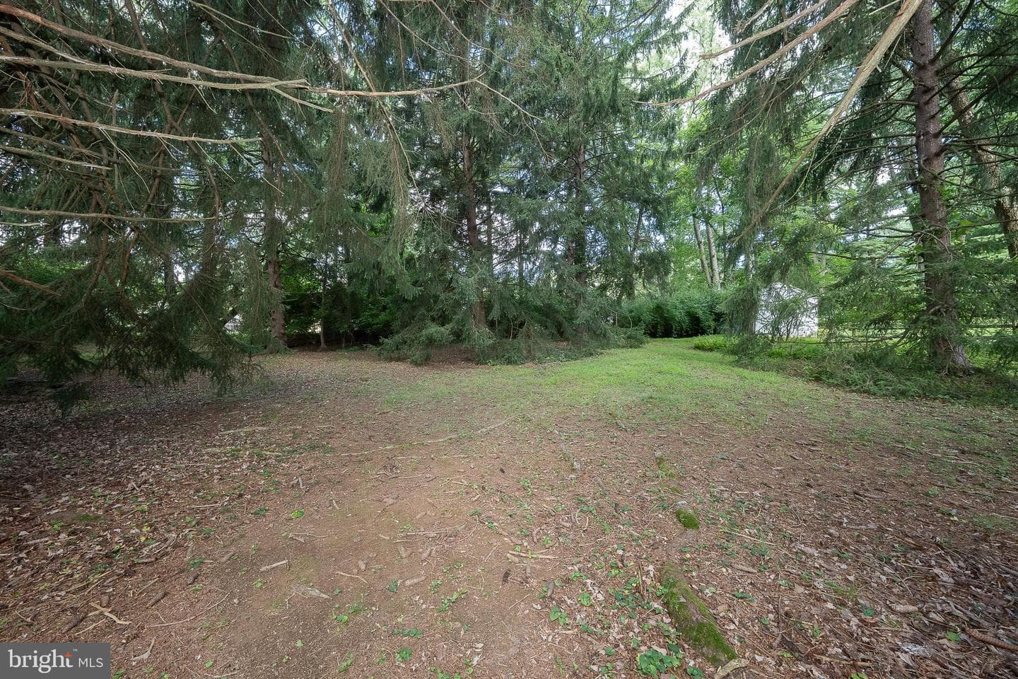 302 Earles Lane photo 44