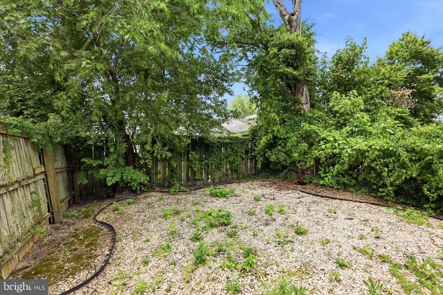 209 Amosland Road photo 21