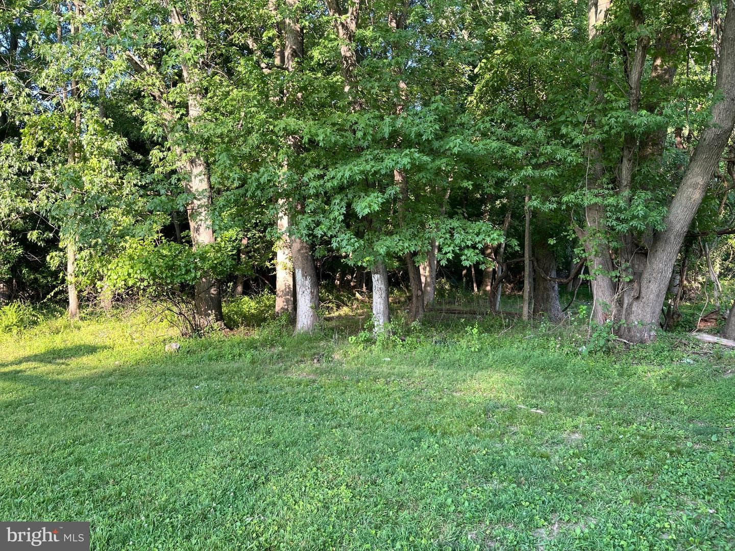 1837 Larkin Road photo 6