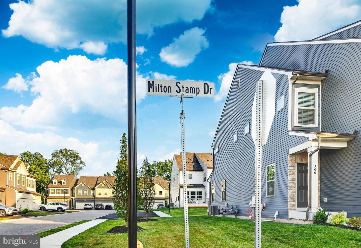 302 Milton Stamp Drive photo 40