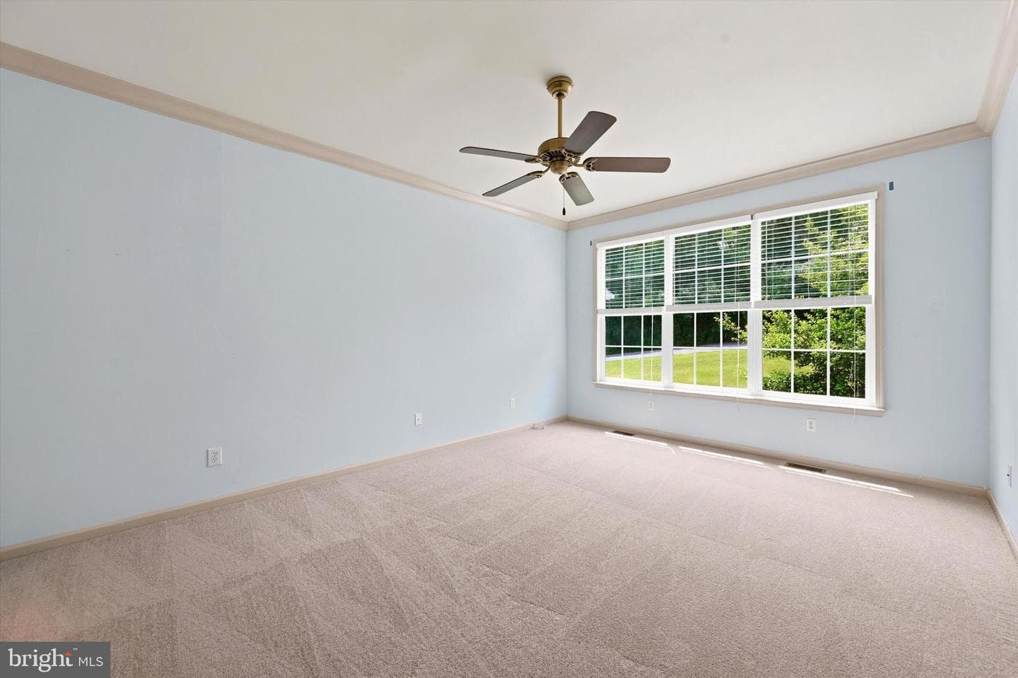 530 Fox Den Court photo 18