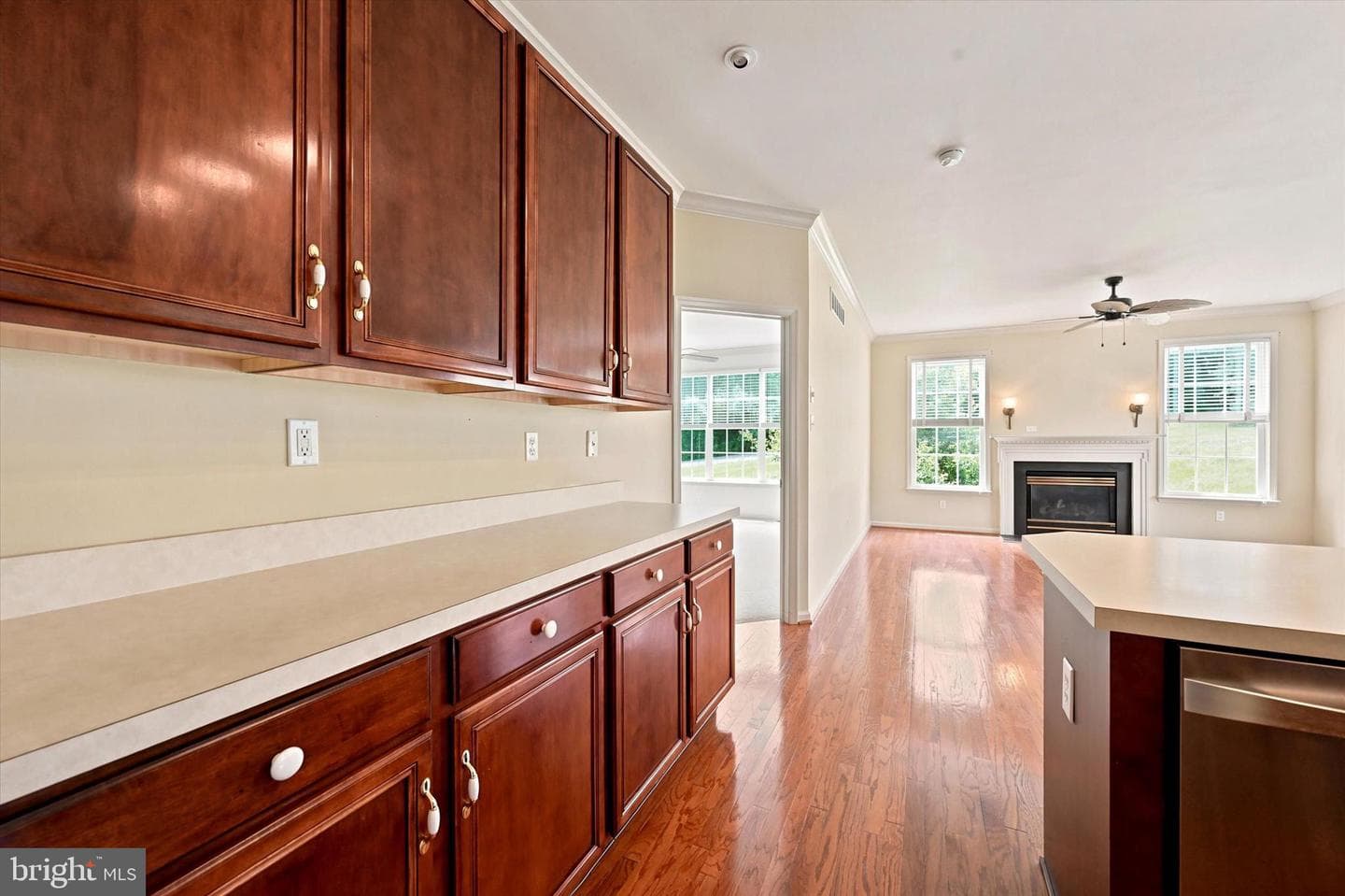 530 Fox Den Court photo 9