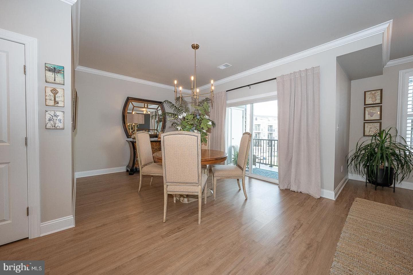 242 Charles Ellis Drive photo 14