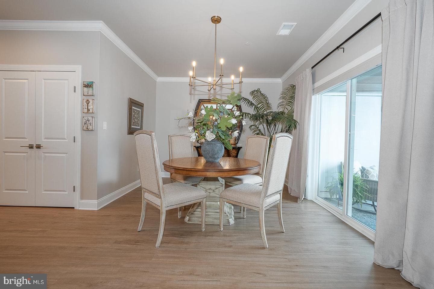 242 Charles Ellis Drive photo 15
