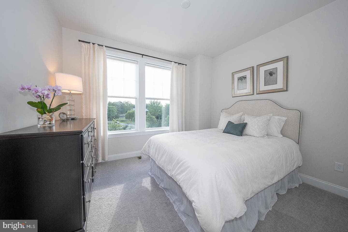 242 Charles Ellis Drive photo 34