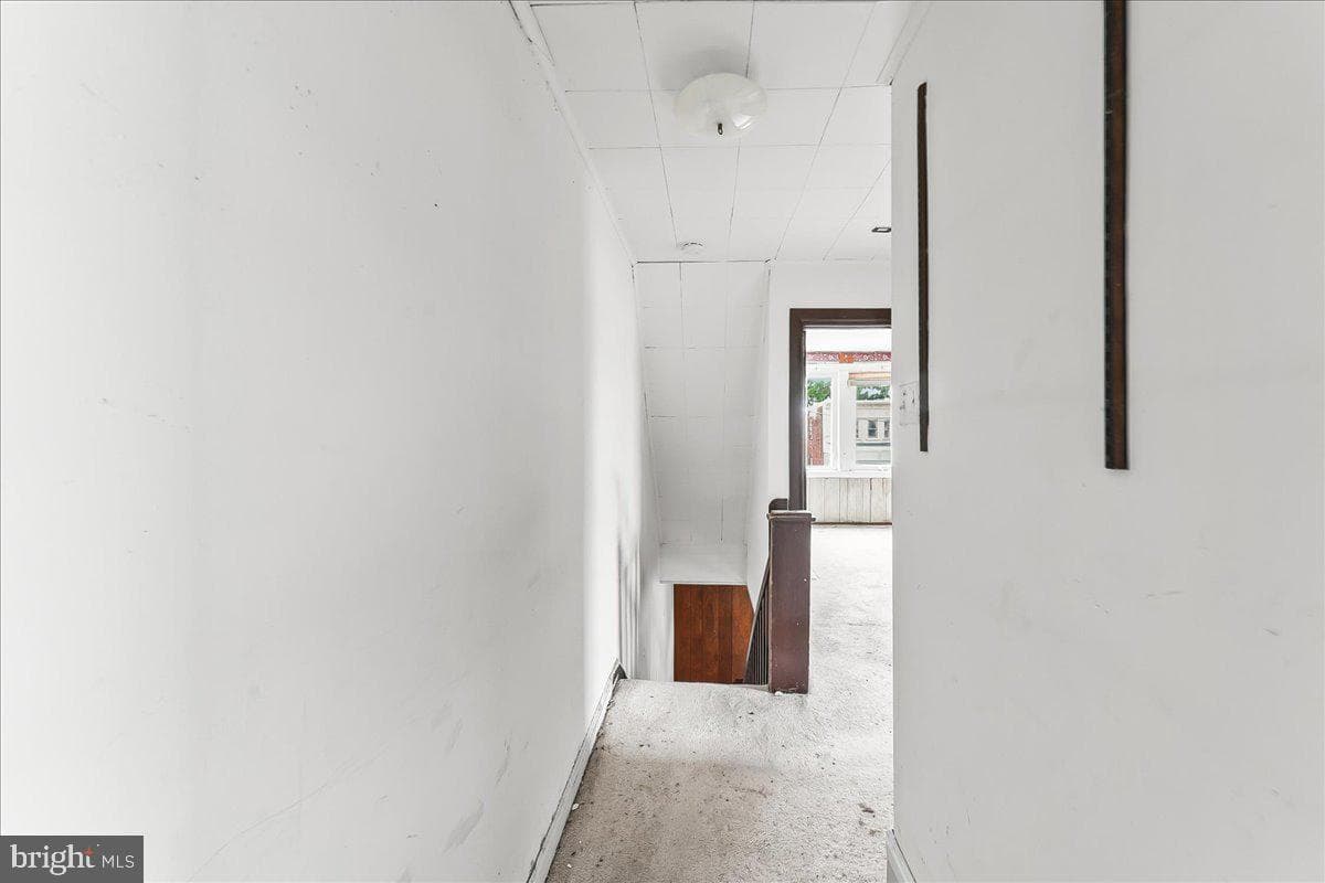 207 Bartram photo 14