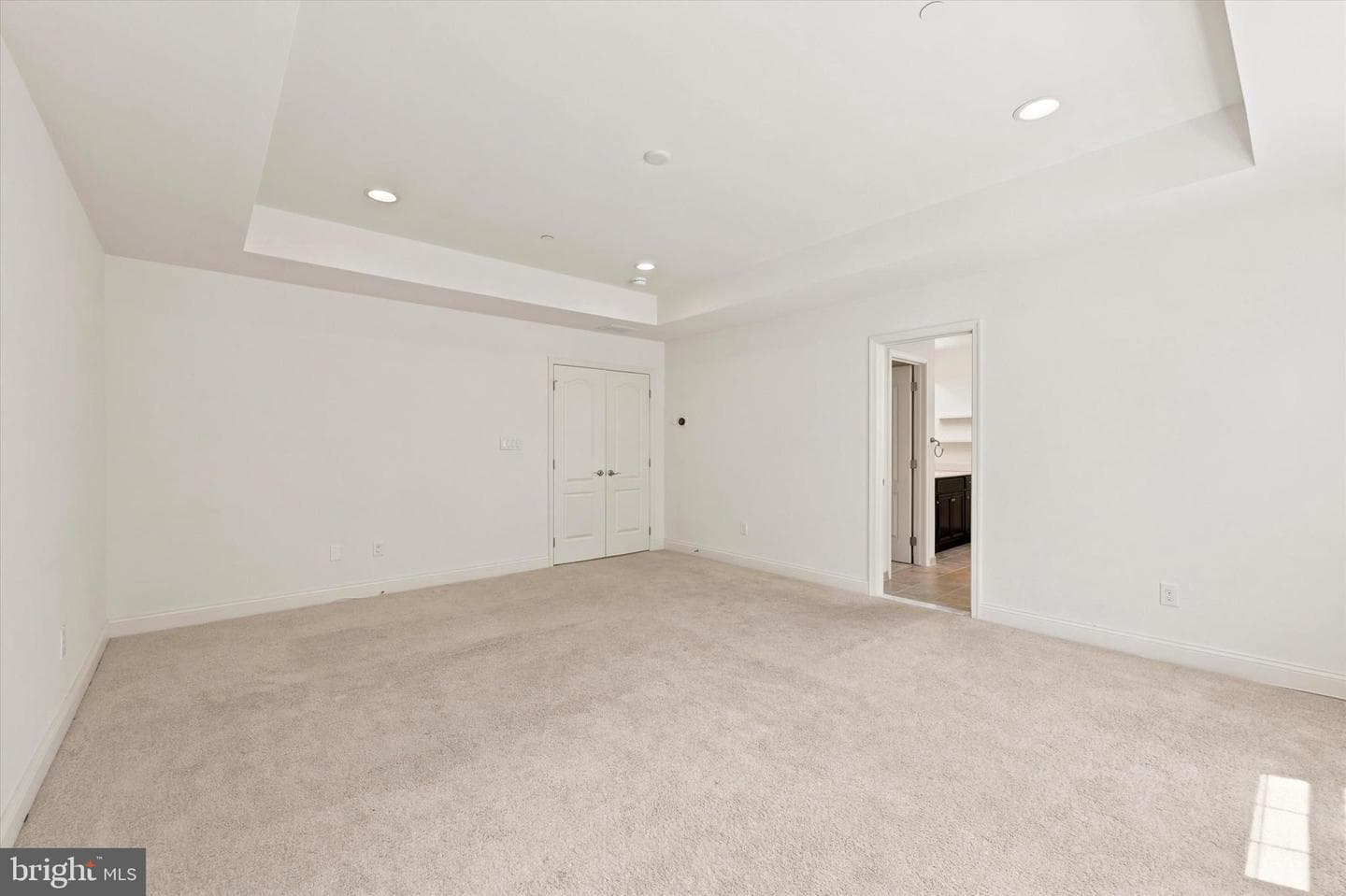 3541 Muirwood Drive photo 28