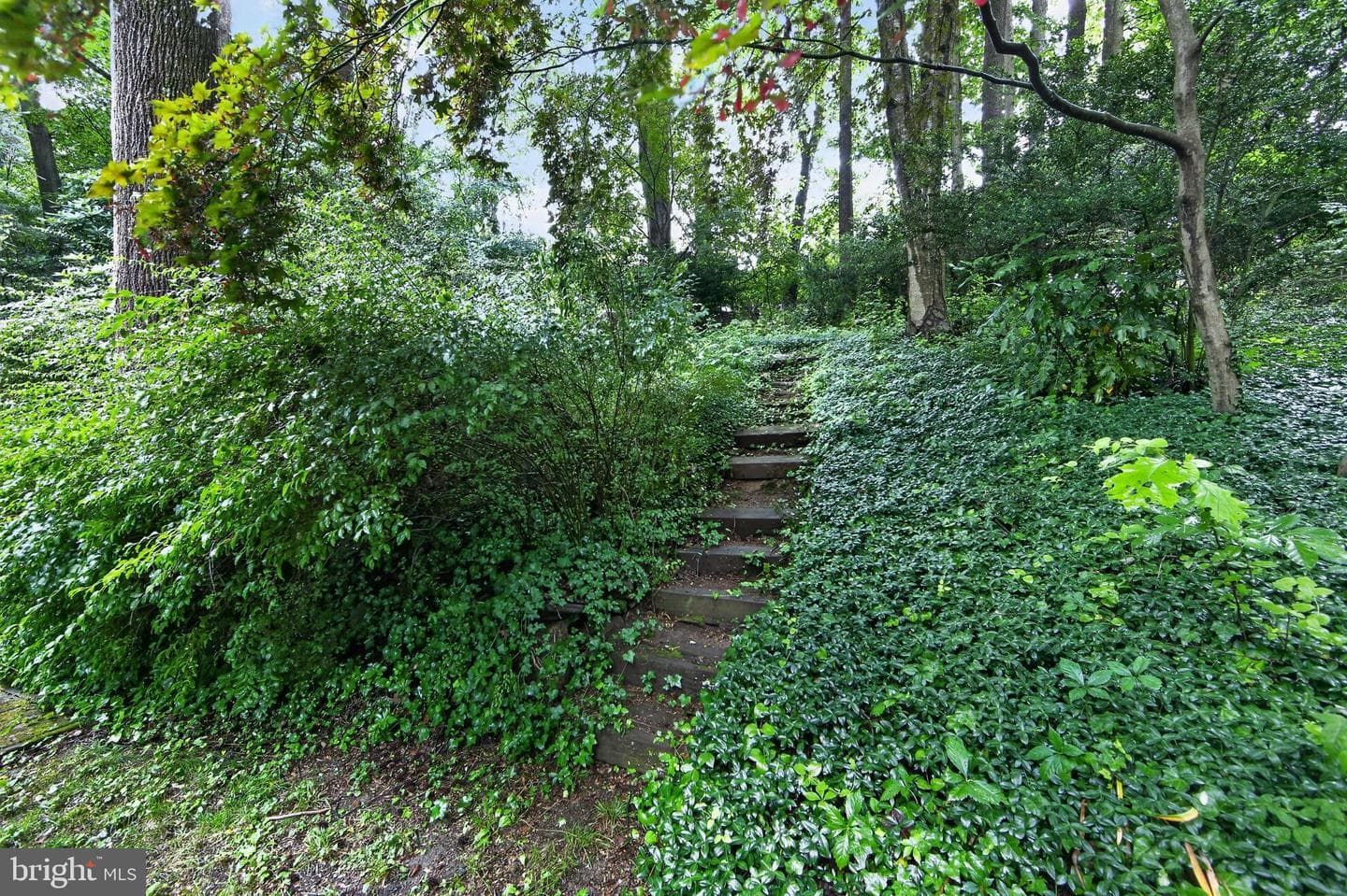 37 N Longpoint Lane photo 31