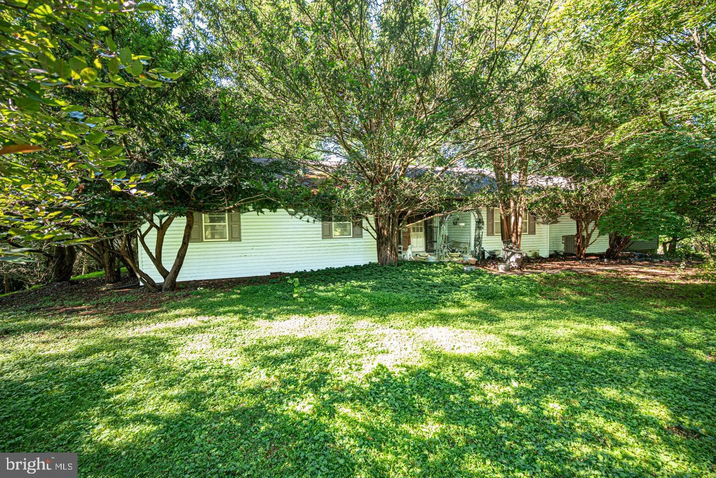 220 Harvey Road photo 3