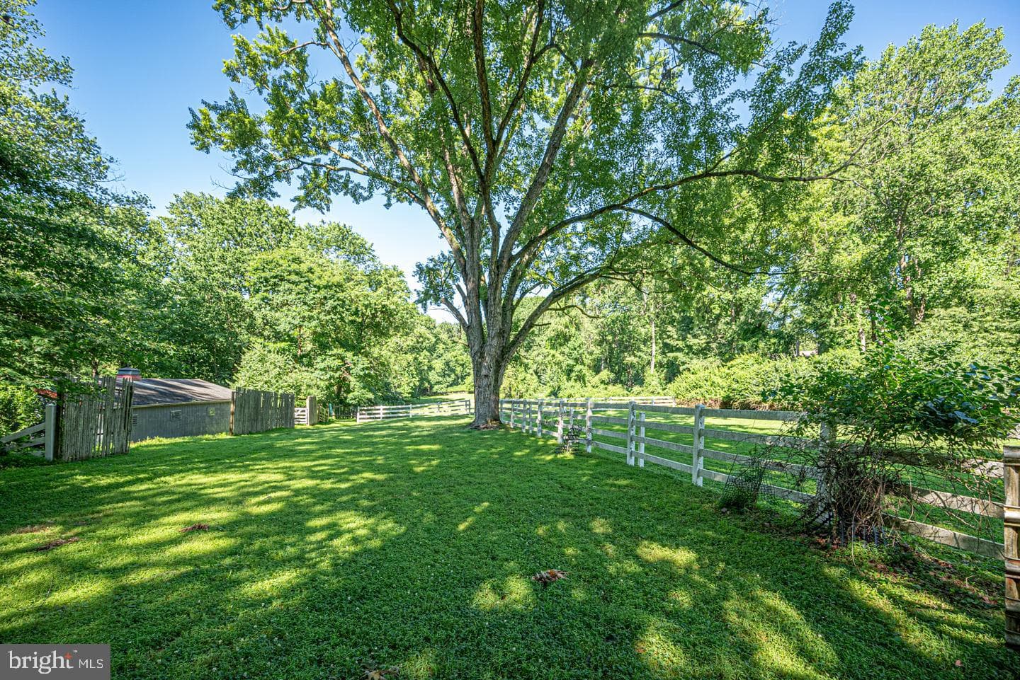 220 Harvey Road photo 8
