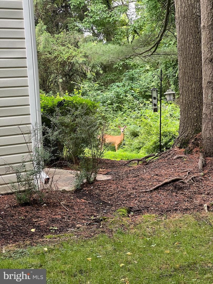 56 Bayberry Court photo 8