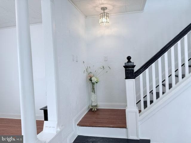 209 Upland Road photo 4