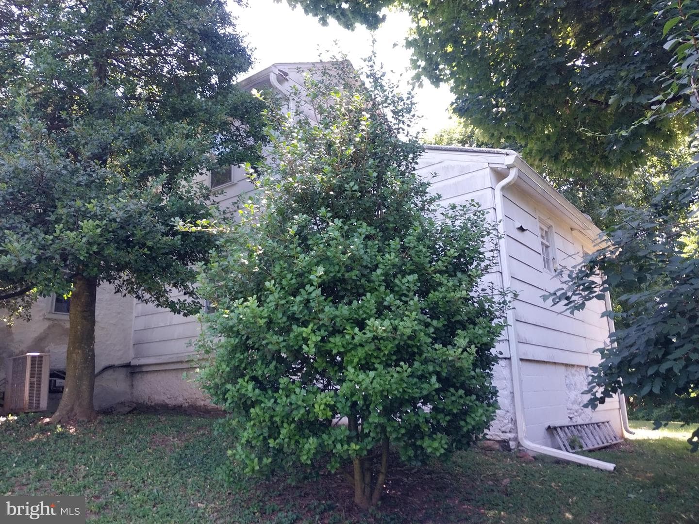 346 Thornton Road photo 6