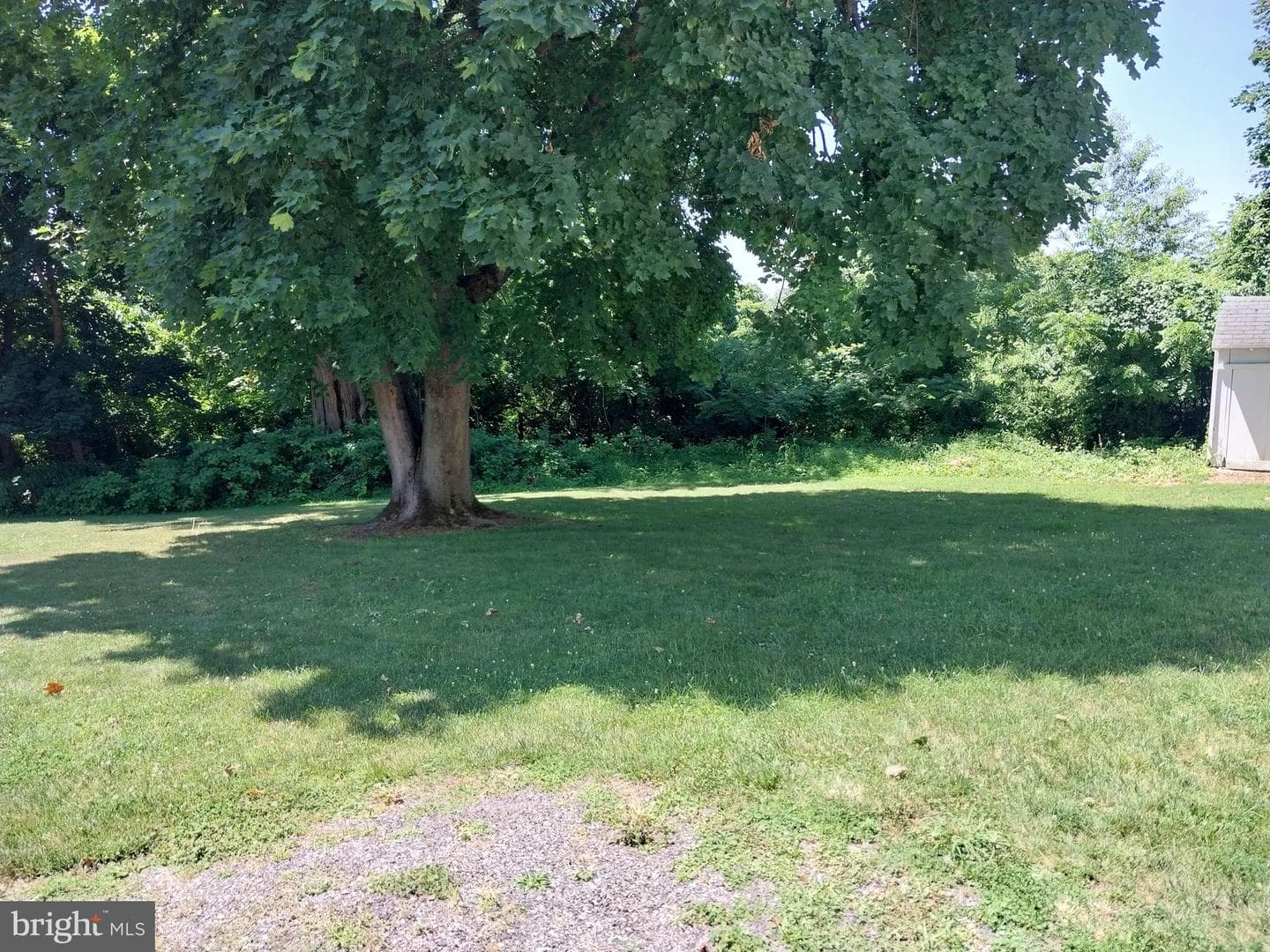346 Thornton Road photo 8