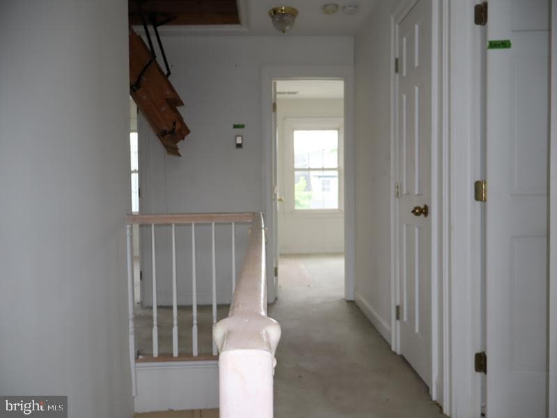 219 Wayne Avenue photo 30