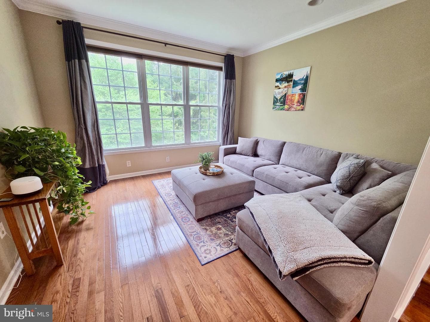 261 Lenni Road photo 6