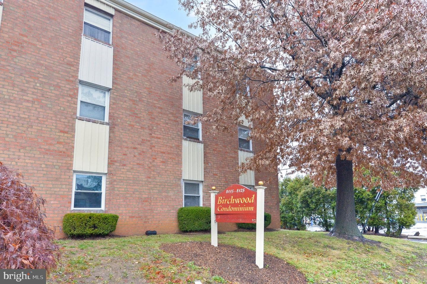 8115 W Chester Pike ##b-5e photo 3