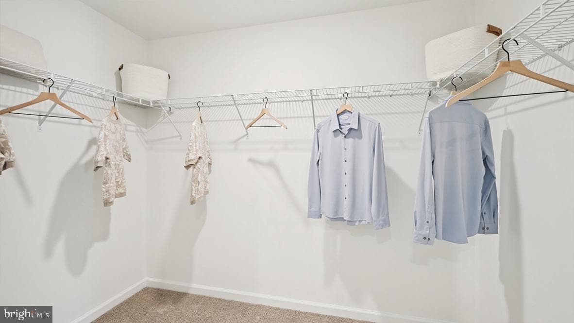411 Moore Road photo 8