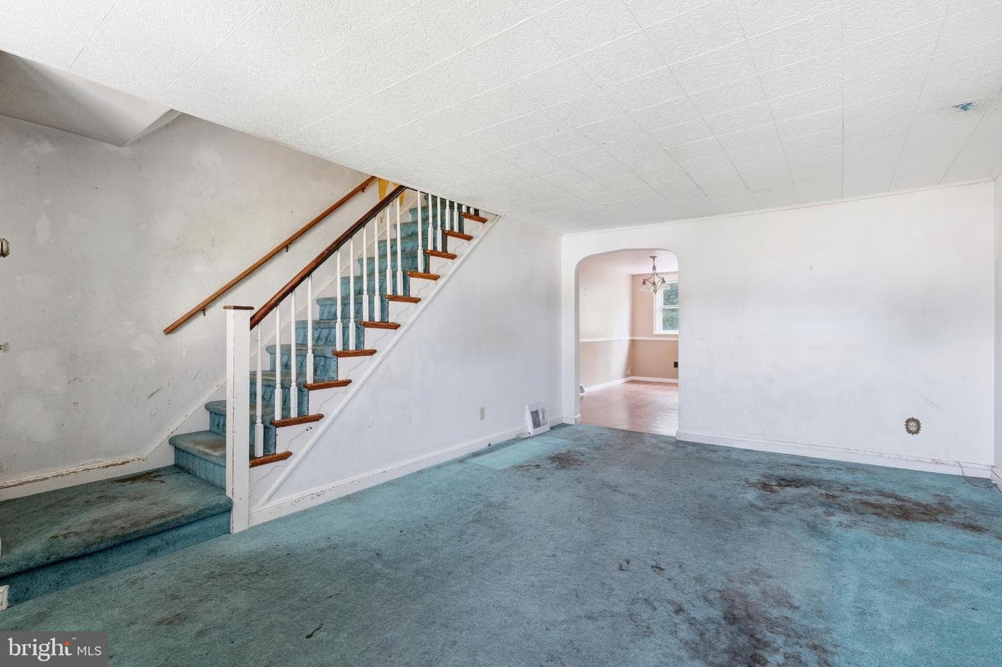 217 Cambridge Road photo 6