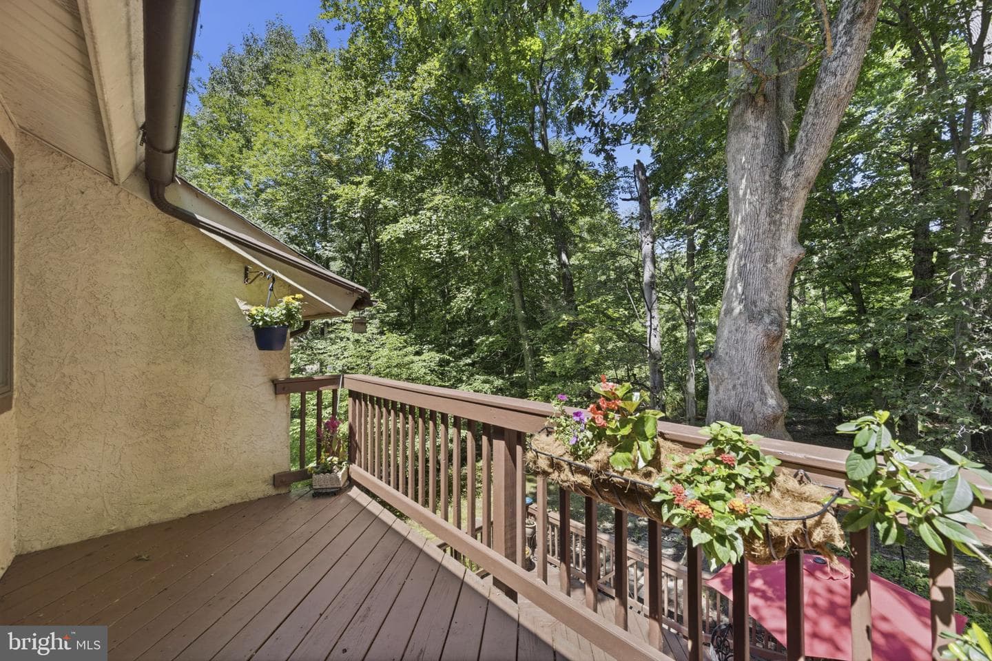 502 Williamson Circle photo 18
