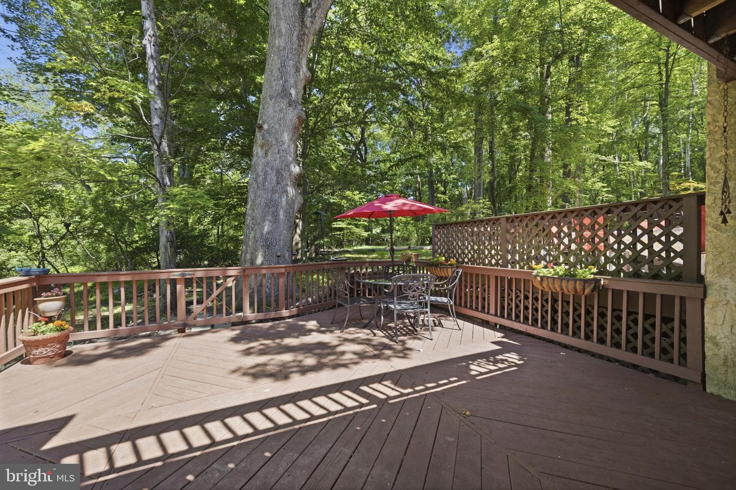 502 Williamson Circle photo 22