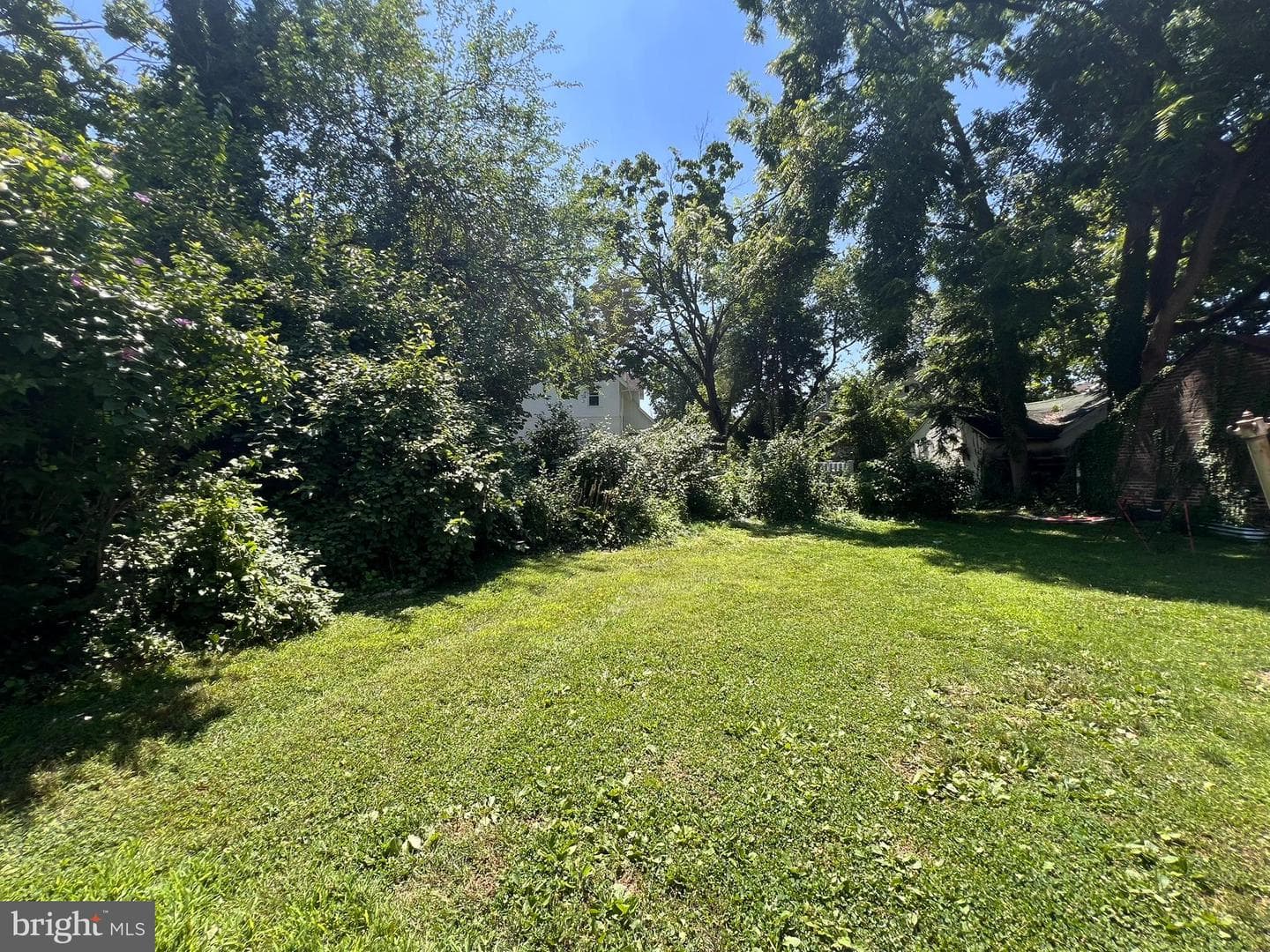 52 W Albemarle Avenue photo 14