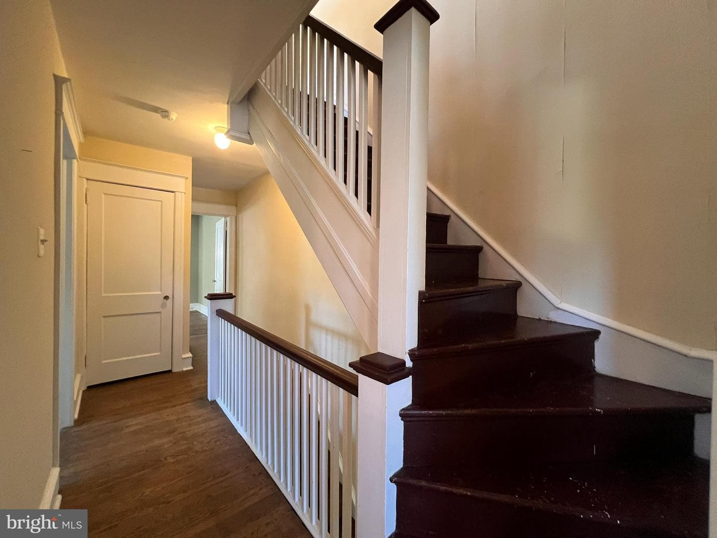 52 W Albemarle Avenue photo 15