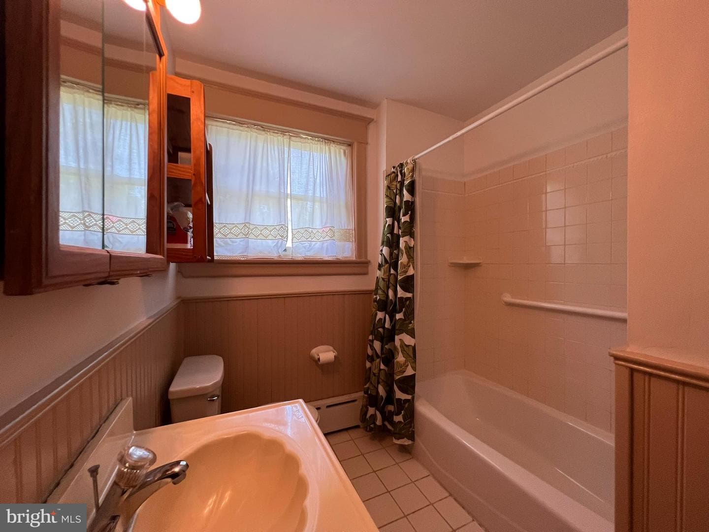 52 W Albemarle Avenue photo 20