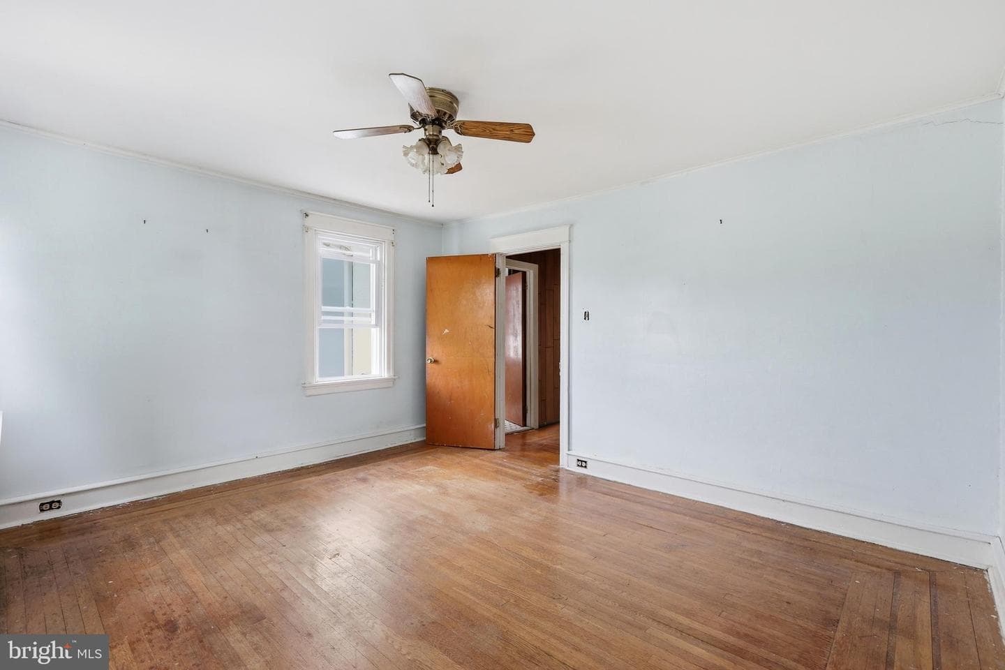 667 Rose Street photo 14