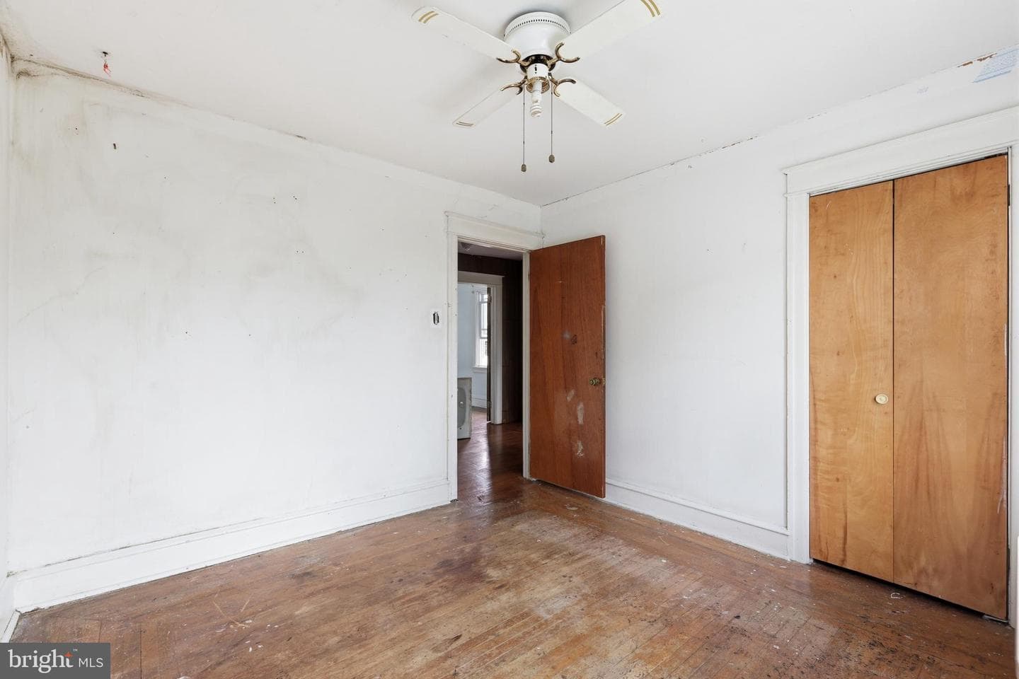667 Rose Street photo 19