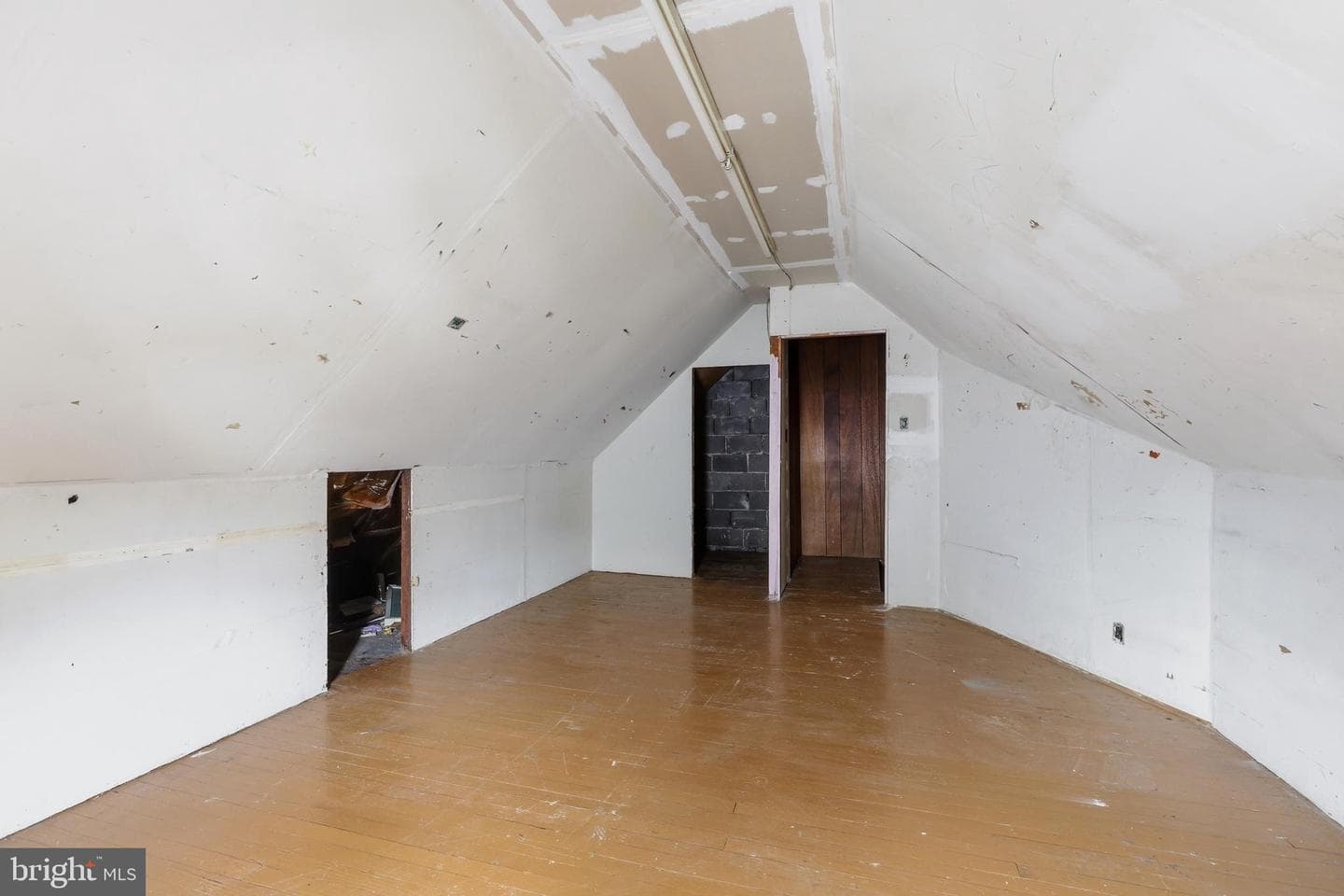 667 Rose Street photo 21
