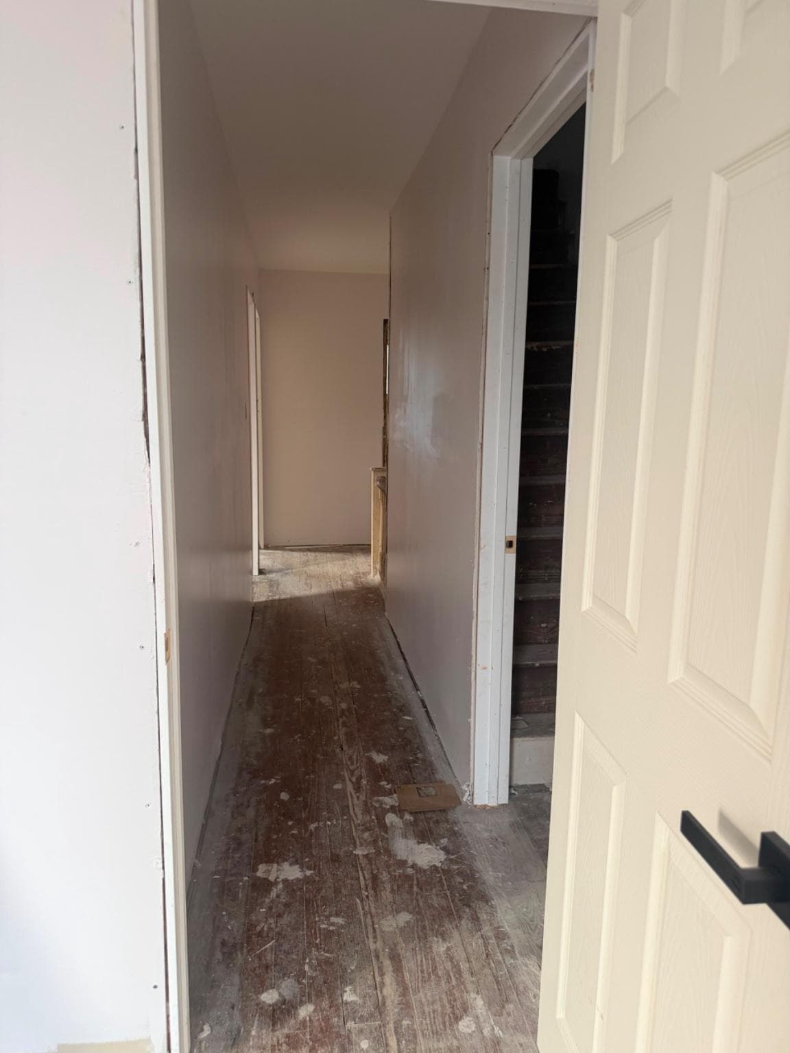 1719 Chichester Avenue photo 3