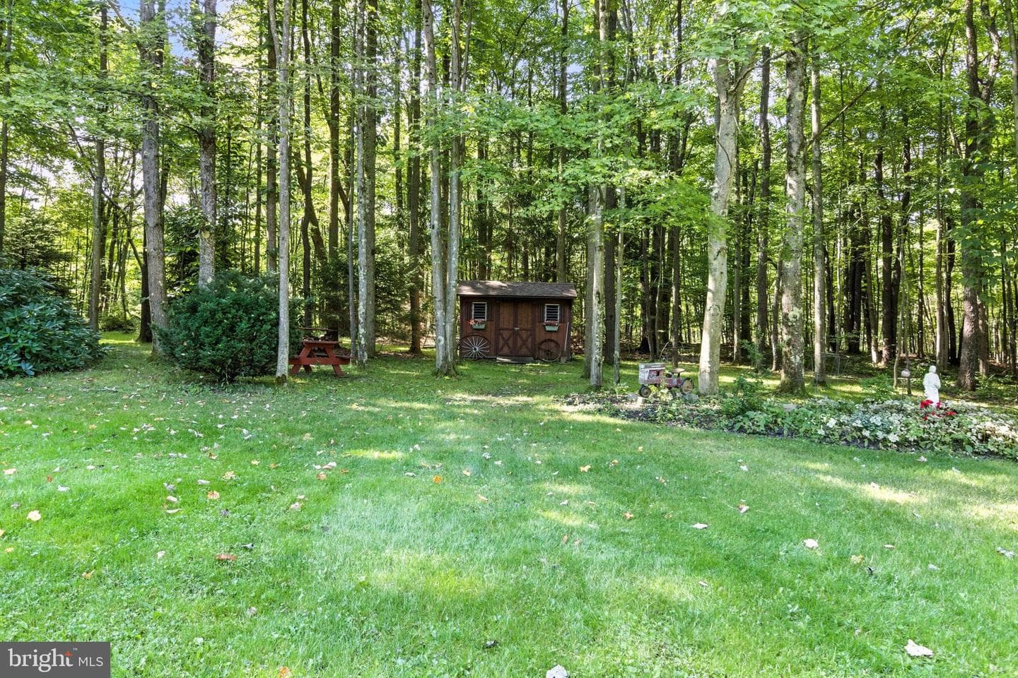 390 Comfort Lane photo 52