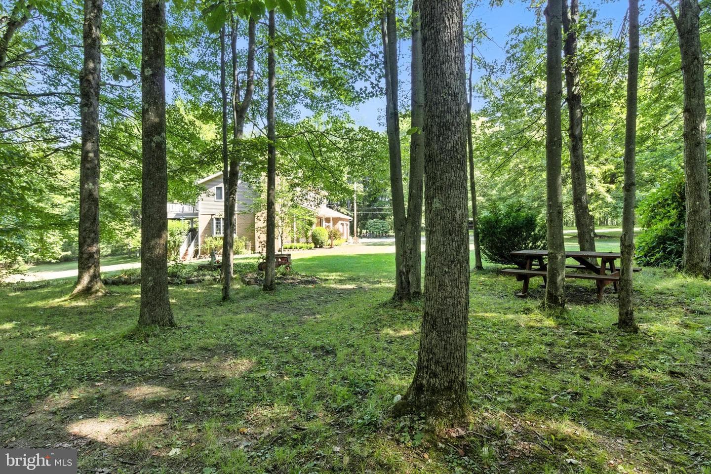 390 Comfort Lane photo 54