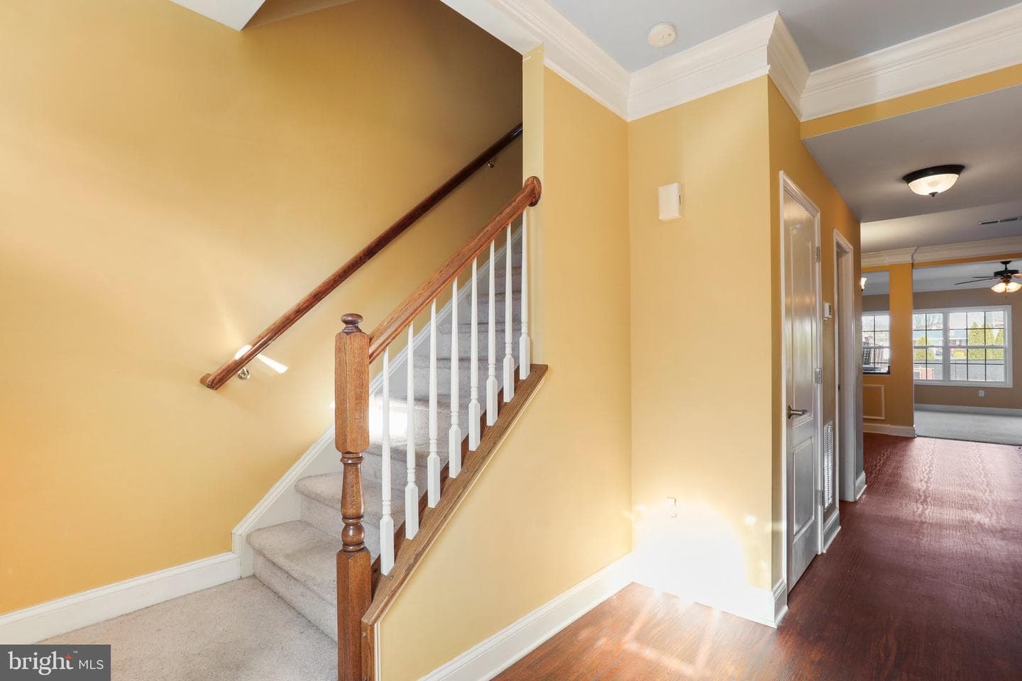 234 Whitley Drive photo 2