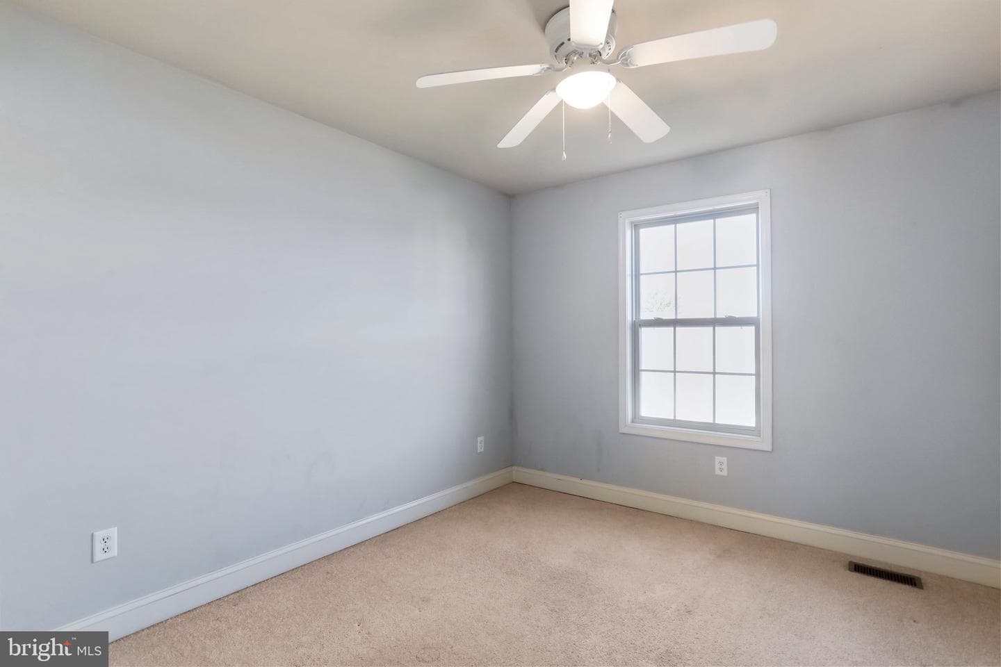 234 Whitley Drive photo 23