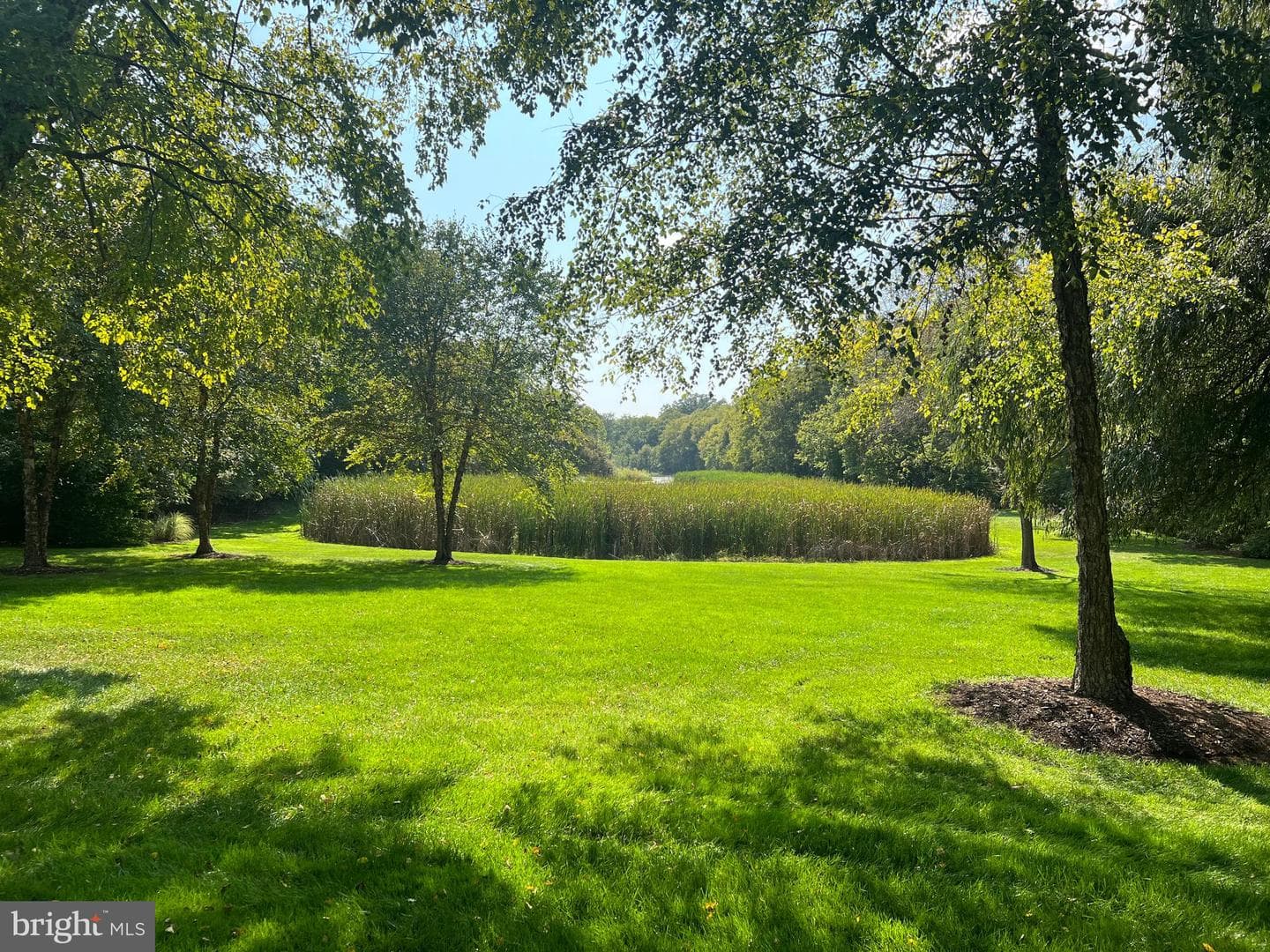 373 Craig Road photo 28