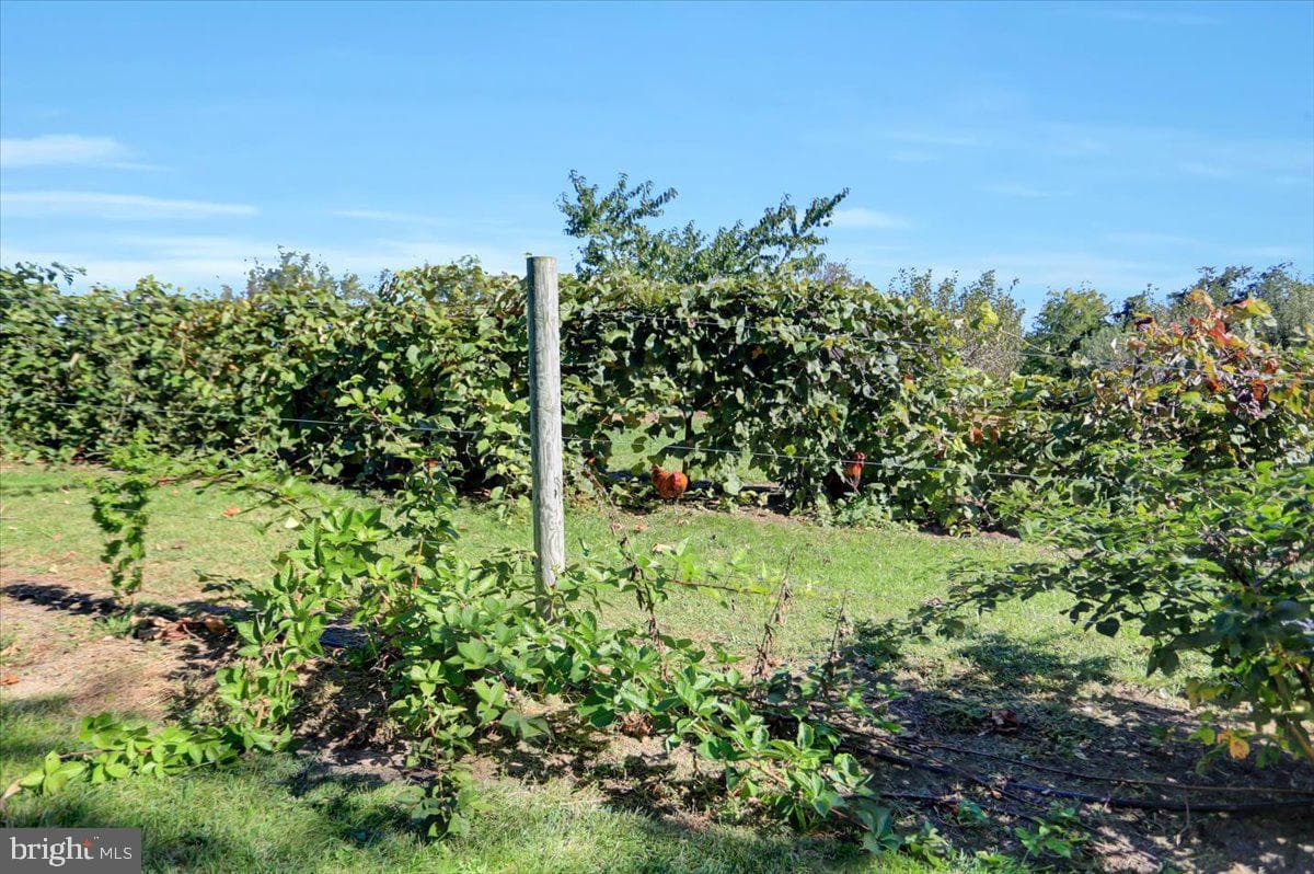 373 Craig Road photo 43