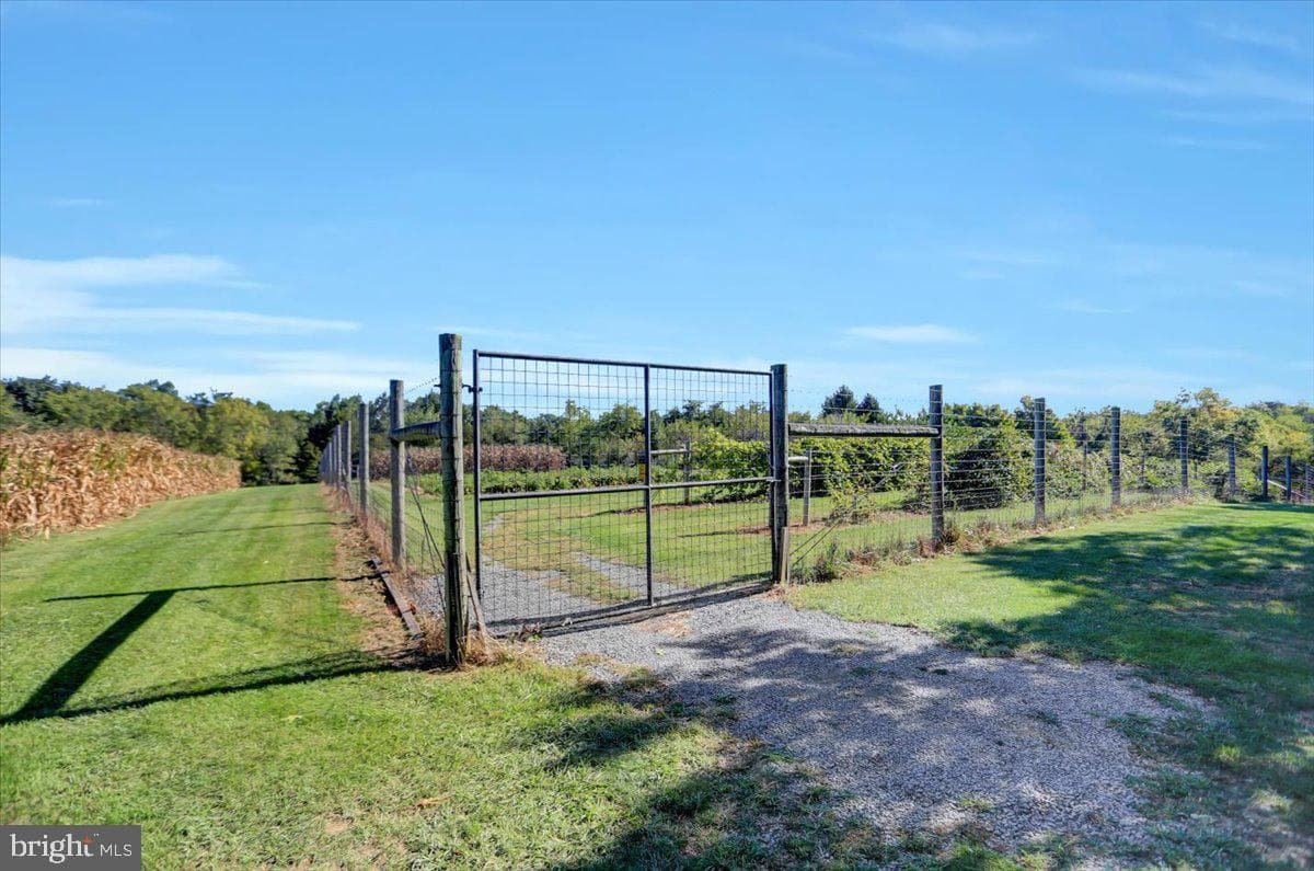 373 Craig Road photo 44