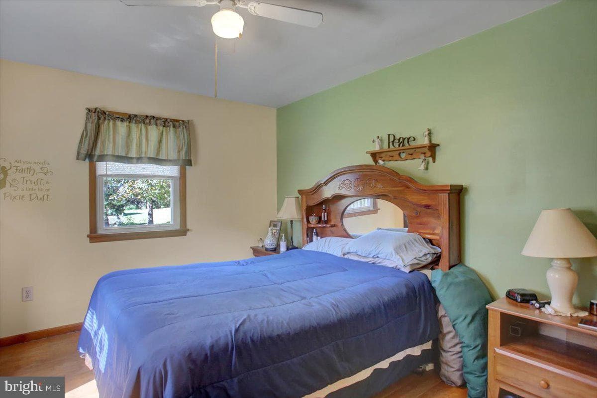 402 Lurgan Avenue photo 13