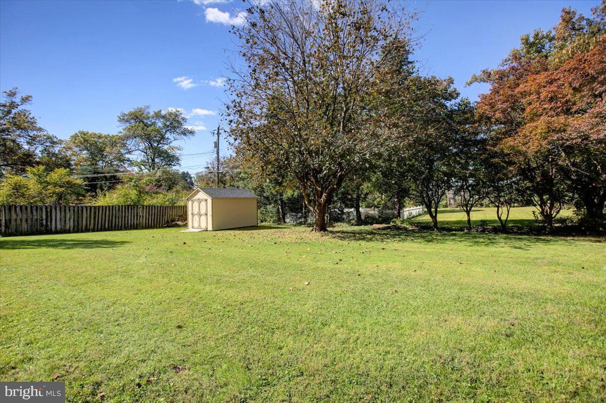 402 Lurgan Avenue photo 25
