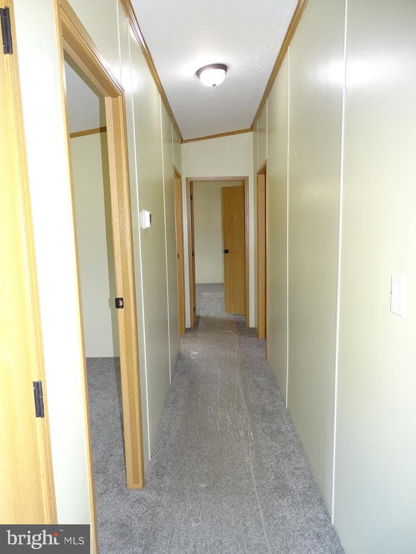 362 Cameo Drive photo 16