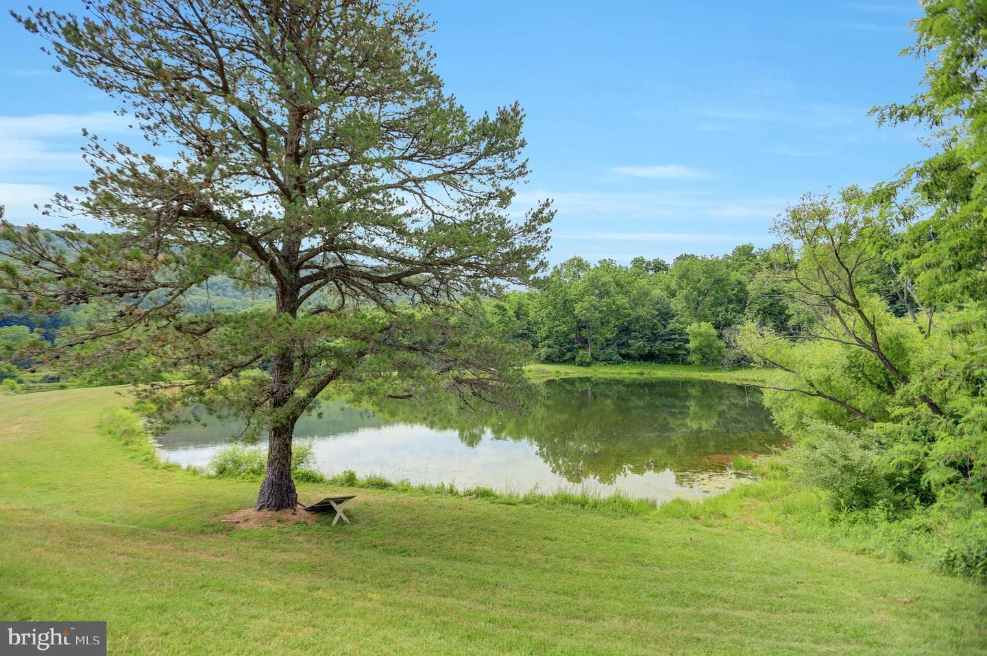 14072 Maple Way photo 38