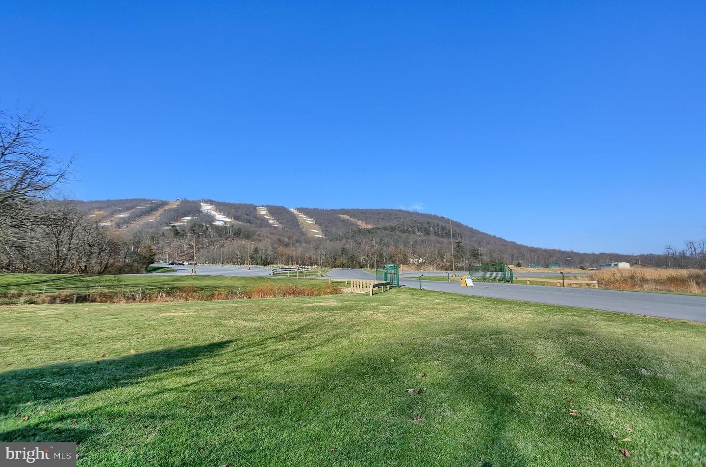 14072 Maple Way photo 43