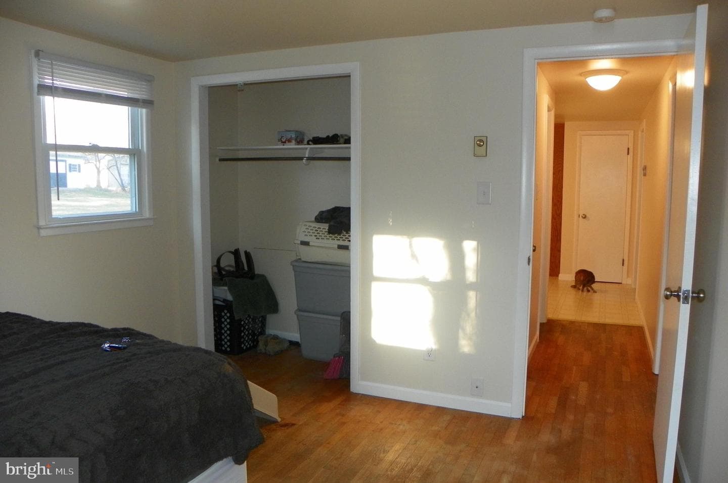 7667 Creager Road photo 16