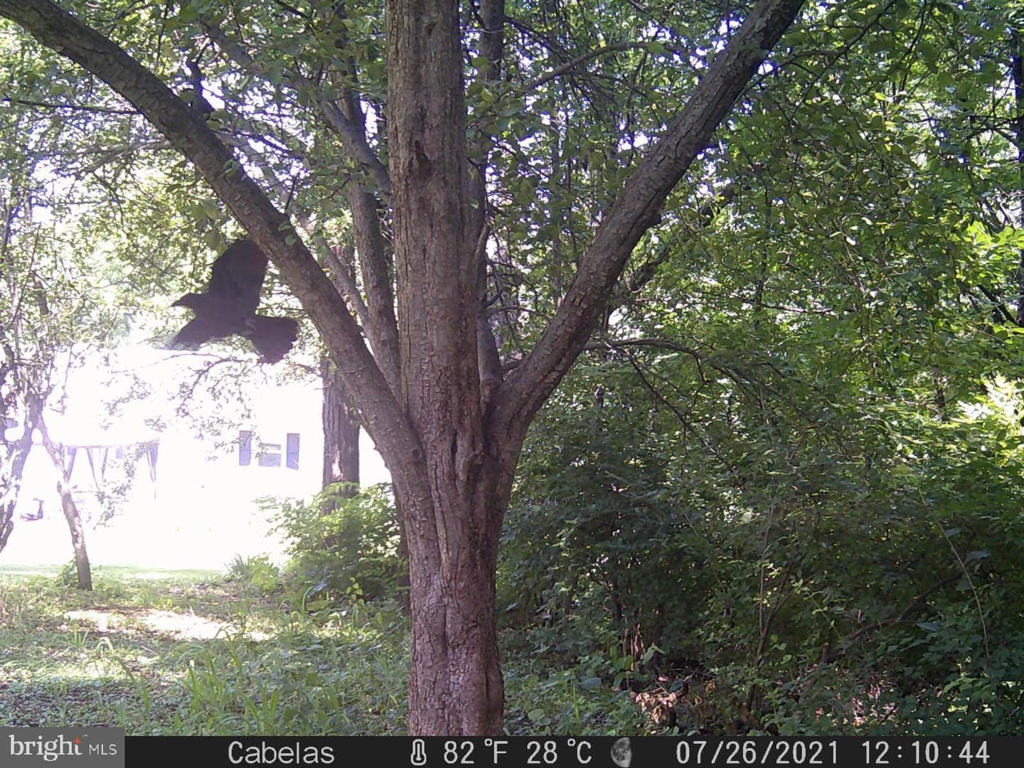 7667 Creager Road photo 51