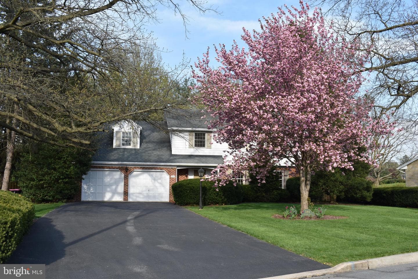 244 Orchard Circle photo 2